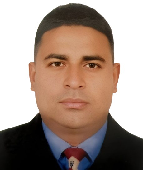 আলী হোসেন