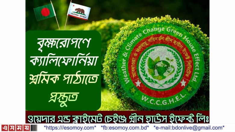 বৃক্ষরোপণ কাজে ১০৫ জন বাংলাদেশী শ্রমিক যাচ্ছেন যুক্তরাষ্ট্রে