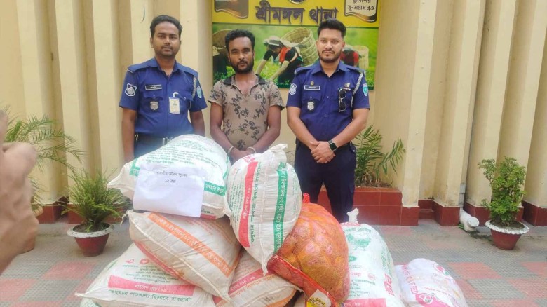 শ্রীমঙ্গলে বিপুল পরিমাণ ভারতীয় ফুচকা জব্দ, গ্রেফতার ১