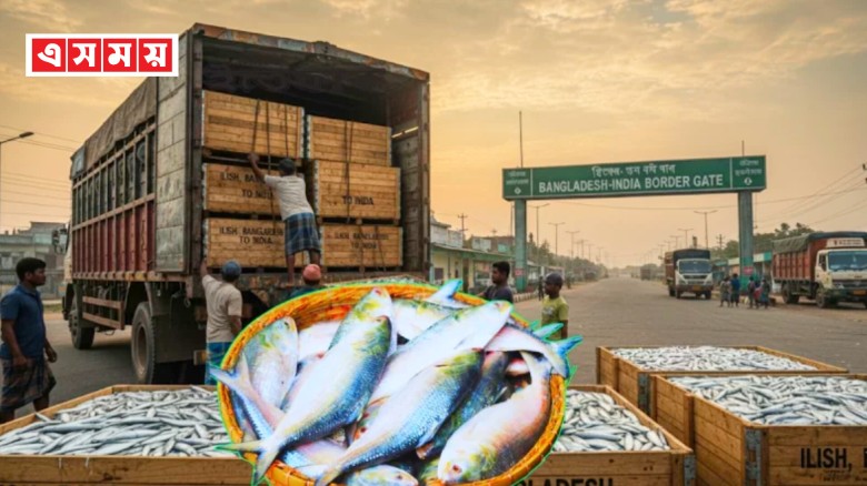 ভারতে ১২০০ টন ইলিশ রফতানির অনুমতি