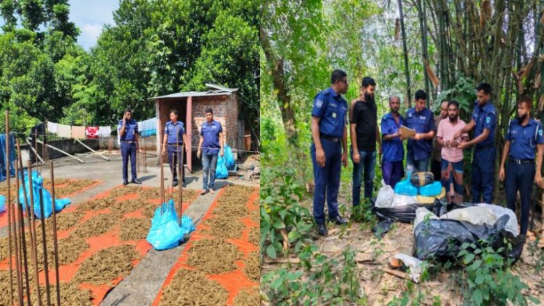 ব্রাহ্মণপাড়ায় ইউপি সদস্যের বাড়ির ছাদ থেকে ১০০ কেজি গাঁজা উদ্