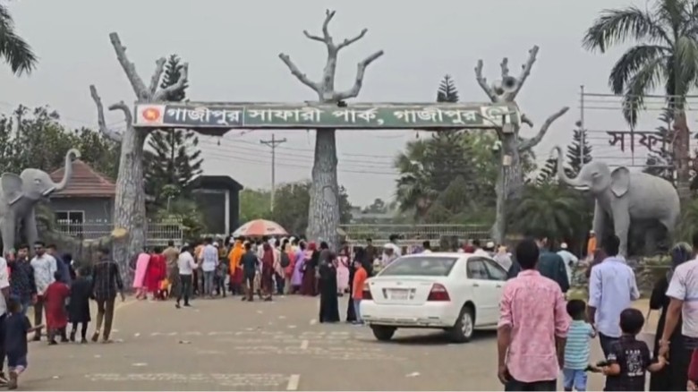 সাফারি পার্কের শেষ জিরাফটিও মারা গেছে