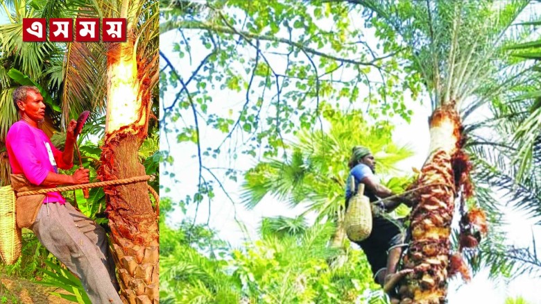 নড়াইলের কালিয়ায় খেজুর রস উৎপাদনের উদ্যোগ