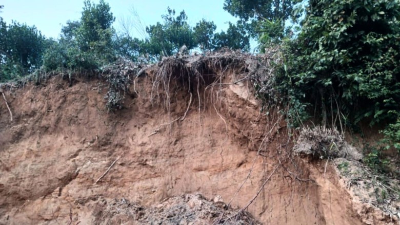 পাহাড় কাটা বন্ধে অভিযানে সন্ত্রাসী হামলায় চার বনকর্মী আহত...